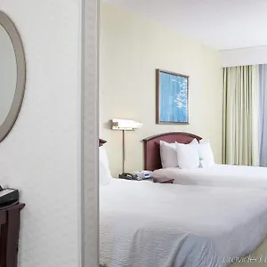 https://springhill-suites-by-marriott-norfolk-virginia-beach.hotels-in-virginia-beach.com